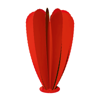 Cactus ballon 12F