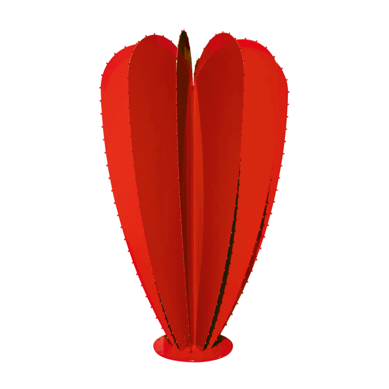 Cactus ballon 12F