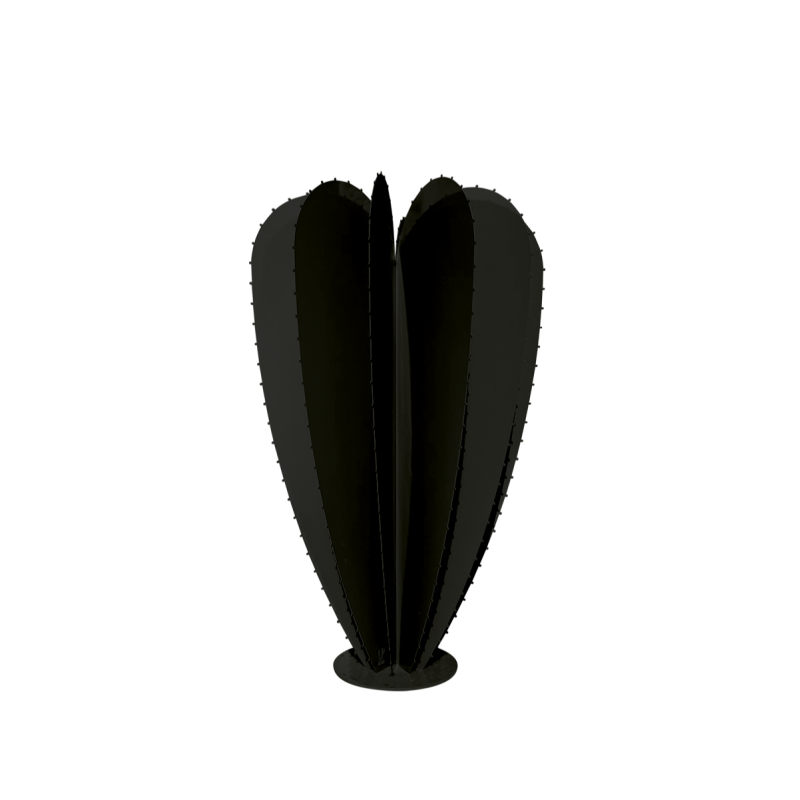 Cactus ballon 12F