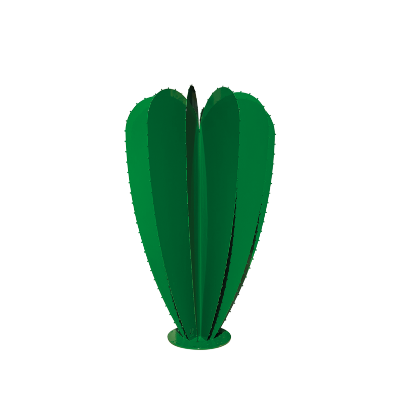 Cactus ballon 12F