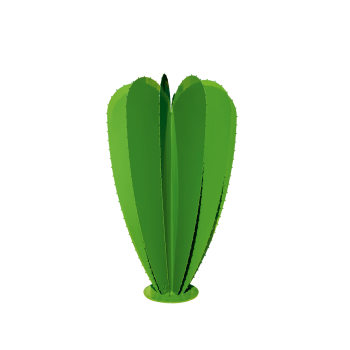Cactus ballon 12F