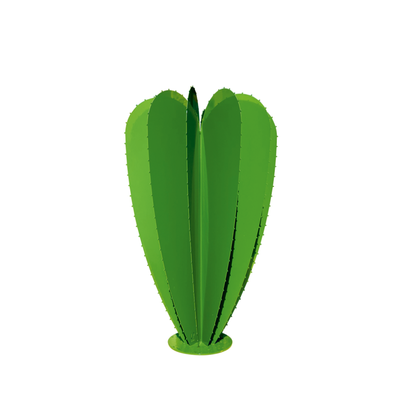 Cactus ballon 12F