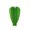 Cactus ballon 12F