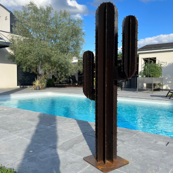 Cactus acier corten 8...