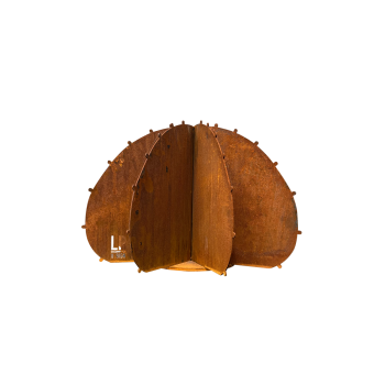 Cactus boule 8F CORTEN