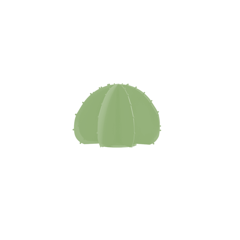Mini cactus boule 8F